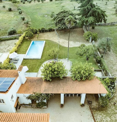 Garden, Garden view, Swimming pool