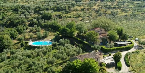 Day, Natural landscape, Bird's eye view, Garden, Garden view, Pool view