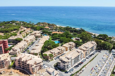 Bird's eye view, Location