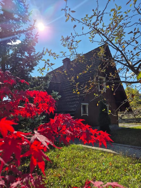 Property building, Autumn
