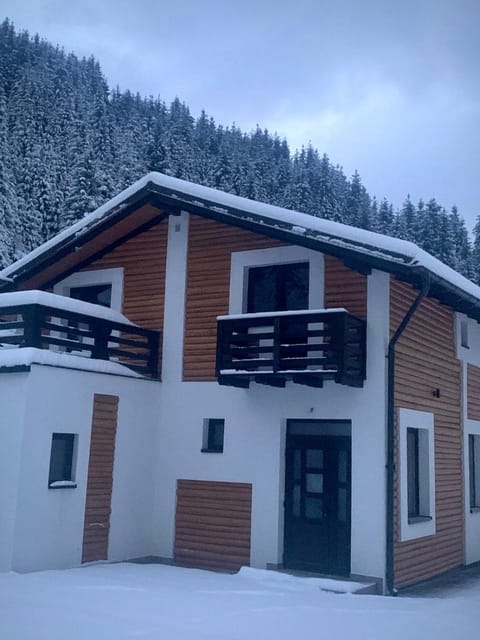 Property building, Day, Natural landscape, Winter, Mountain view