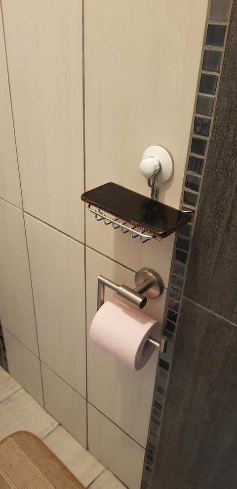 DIJON Super appartement F1 bis climatisé mezzanine Apartment in Dijon