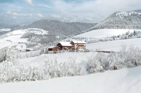Property building, Natural landscape, Winter