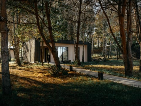 Natural landscape, Garden view