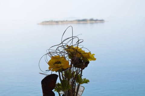 Natural landscape, Sea view
