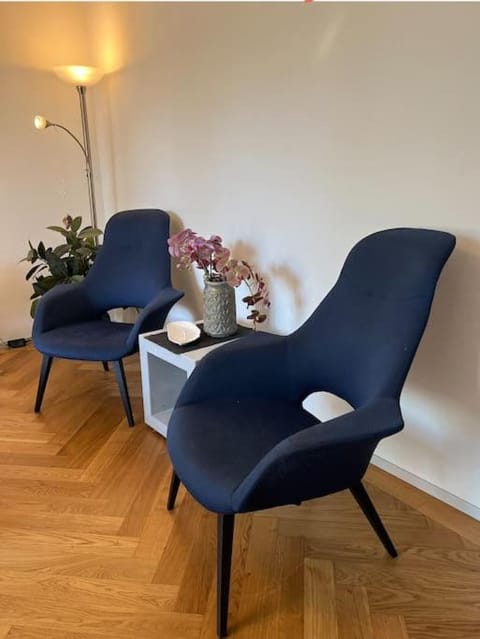 Winter Apartment in City of Bern