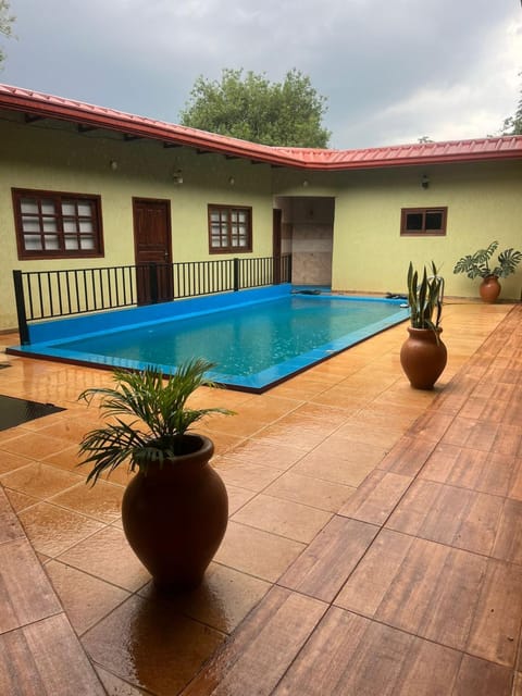 Day, Solarium, Pool view, Swimming pool, sunbed