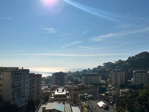 View (from property/room)