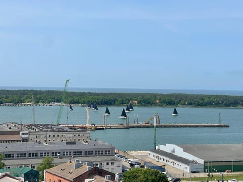 Panoramic city center apartment Apartment in Klaipėda