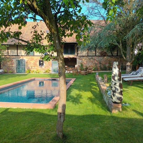 Day, Garden view, Swimming pool, Swimming pool, sunbed