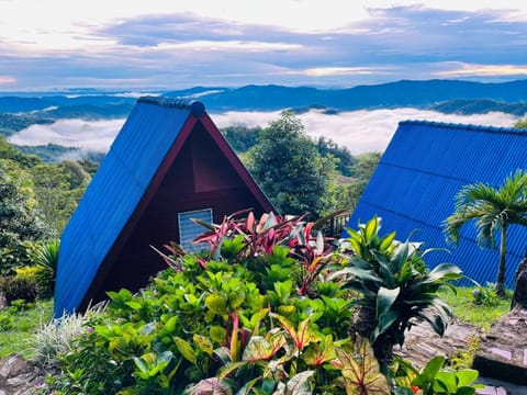 Natural landscape, Garden, Mountain view