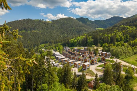 Property building, Neighbourhood, Natural landscape, Bird's eye view, Mountain view