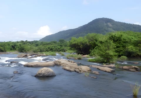 Nearby landmark, Natural landscape