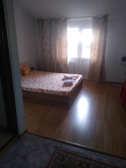 Pensiunea Isabela Bed and Breakfast in Craiova