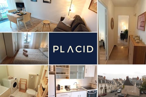 Le Béranger T2 centre wifi balcon Apartment in Tours