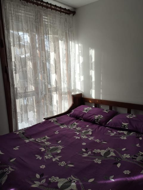 Aleksander ski apartment Apartment in Breuil-Cervinia