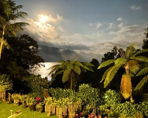 Nearby landmark, Spring, Natural landscape, Garden