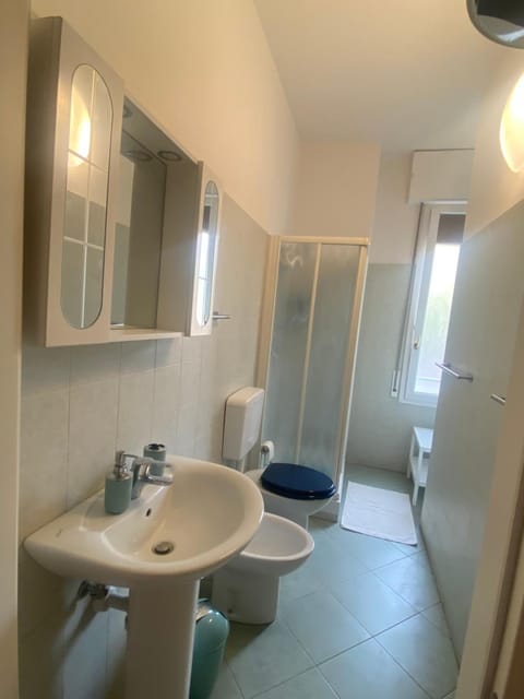 Shower, Toilet, Bathroom, bidet