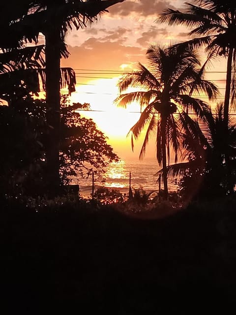 Natural landscape, Sea view, Sunrise