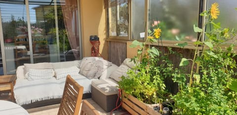 Patio, Spring, Seating area