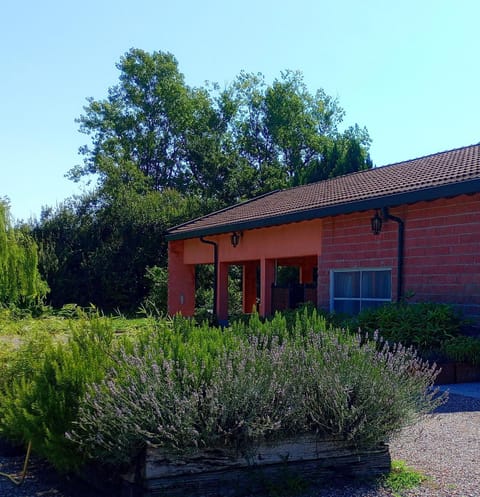 Property building, Garden, Garden view