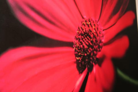 Premier Lodge Central Apartment hotel in Wolverhampton