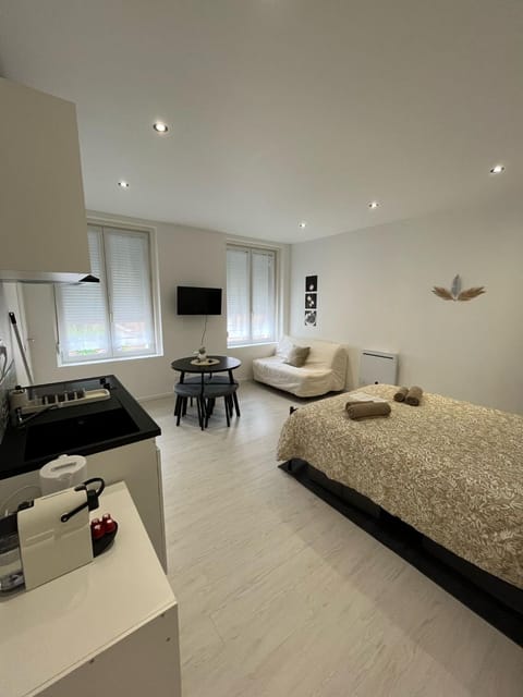 Paul Bert-4 studio familial Apartment in Cambrai