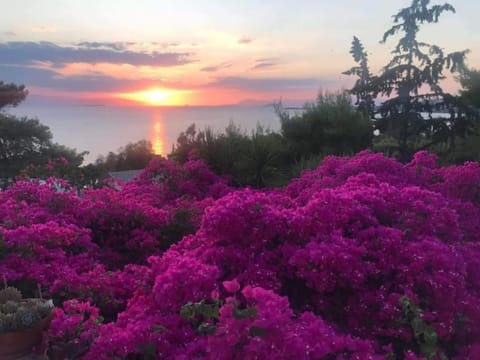 Natural landscape, Sea view, Sunset