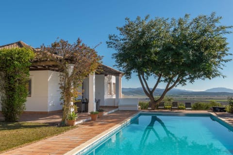 Property building, Living room, Swimming pool