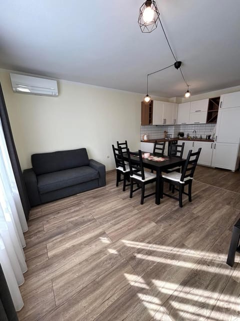 Kitchen or kitchenette, Living room, Dining area, oven, stove, air conditioner