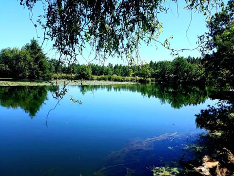 Natural landscape, Lake view, River view