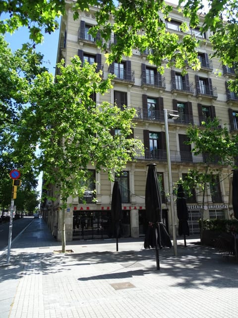 Facade/entrance, Street view