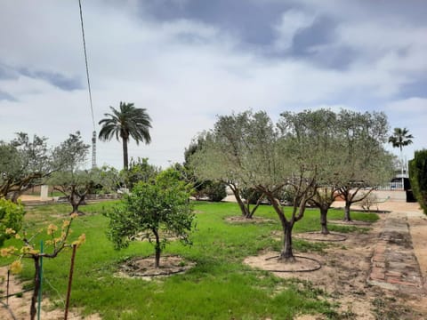Day, Garden, Garden