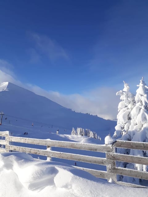 Natural landscape, Winter