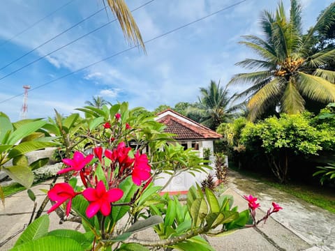 Day, Garden, Garden, Balcony/Terrace, Garden view