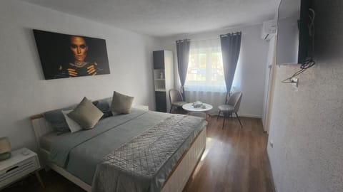 Travel Pass Apartment Apartment in Serbia