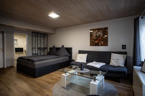 Bed, Living room, Photo of the whole room, Seating area, Bedroom