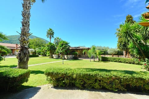 Property building, Spring, Natural landscape, Garden view