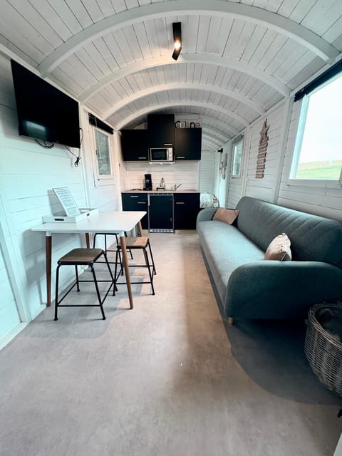 Living room, kitchen