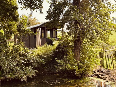 Spring, Day, Natural landscape, Garden, Garden view