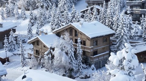 Chalet familiale Jade Chalet in Saint-Bon-Tarentaise