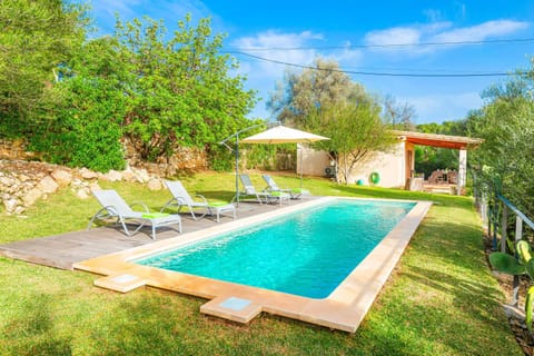 Garden, Swimming pool