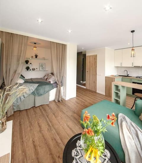 Sunshine apartamentai Apartment in Lithuania