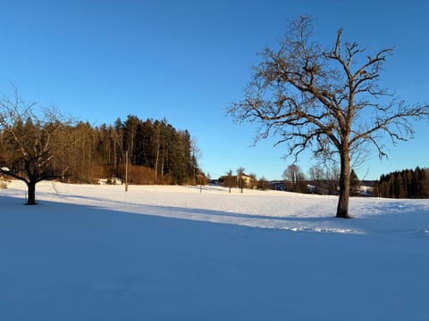 Day, Natural landscape, Winter
