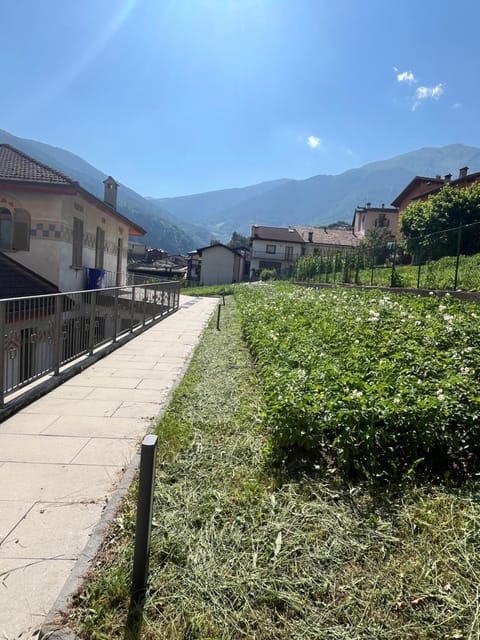 Property building, Mountain view