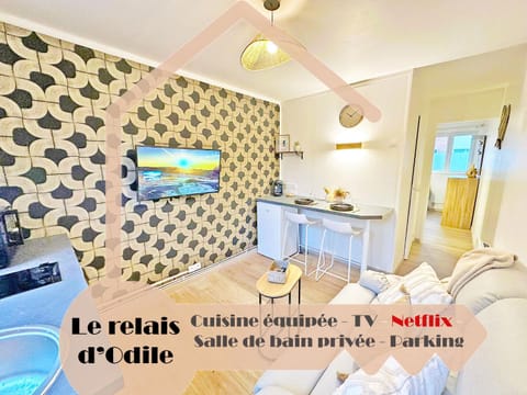 LeRelaisdOdile - Studio Confort - Proche Hôpital - Idéal Couple & Travailleur- Accès Autoroute Rapide Apartment in Valenciennes