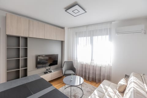 TV and multimedia, Living room, Seating area, air conditioner