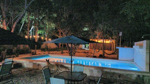 Patio, Night, Natural landscape, Garden, Garden view, Pool view, Swimming pool, sunbed