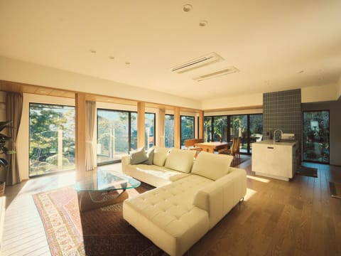Living room, air conditioner