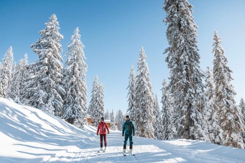 Natural landscape, Winter, Skiing